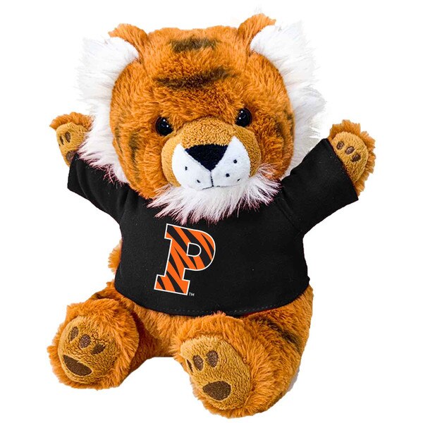 Princeton Class of Beanie 2028 Fron