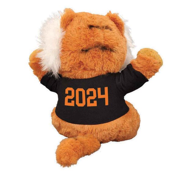 Princeton Class of Beanie 2024 Back