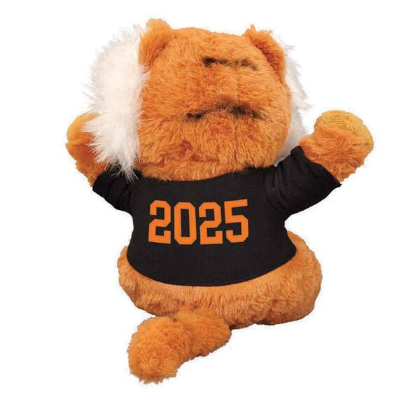 Princeton Class of Beanie 2025 Back