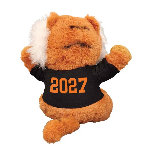 Princeton Class of Beanie 2027 Back