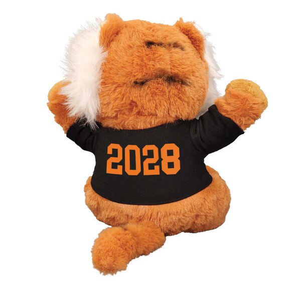 Princeton Class of Beanie 2028 Back