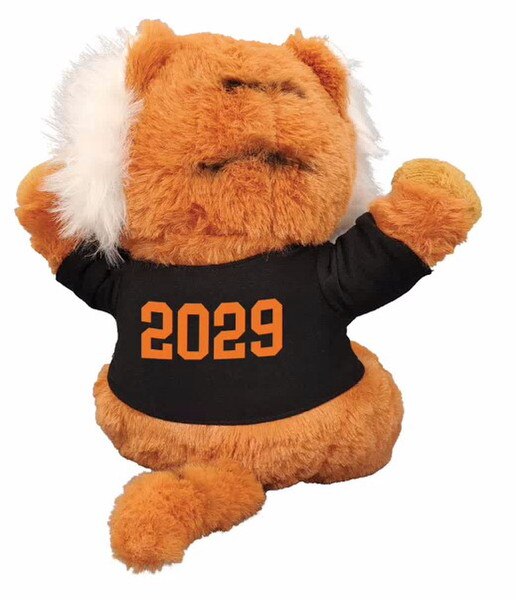Princeton Class of Beanie 2029 Back