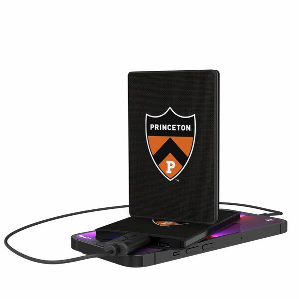 Princeton 2200MAH Powerbank