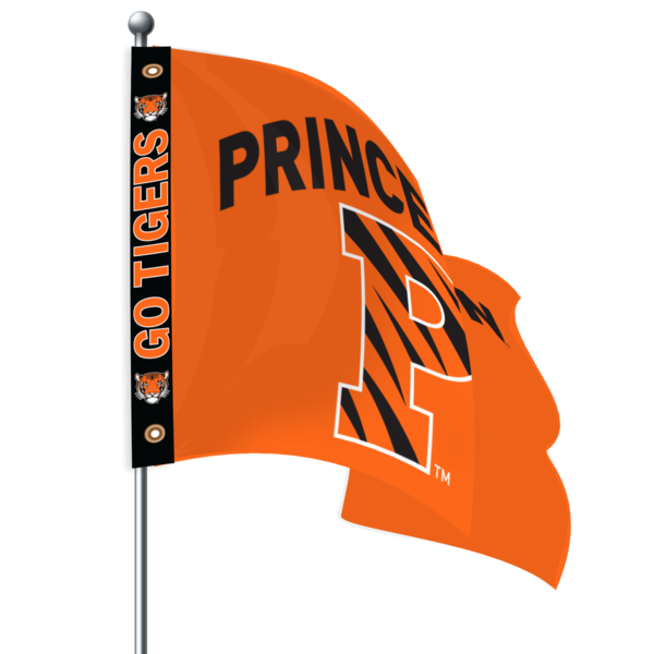 Ultrawave Flag Striped P Back