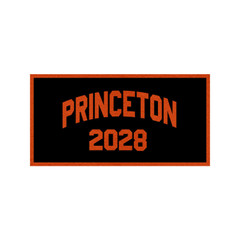 Princeton 2028 Banner