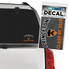 Princeton Class of 2028 Decal