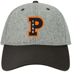 P with 1746 Princeton Felt Hat Grey