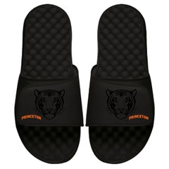 iSlide Princeton Tonal Tiger Slides