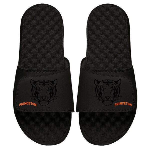 iSlide Princeton Tonal Tiger Slides