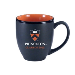Class of 2029 Mug