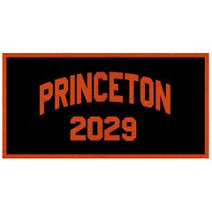 Princeton 2029 Banner